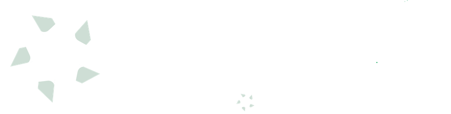 1099FIRE, a division of National Software, Inc.